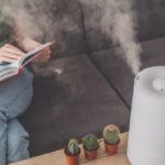 Controlling Indoor Humidity and the Hair-Raising Truth
